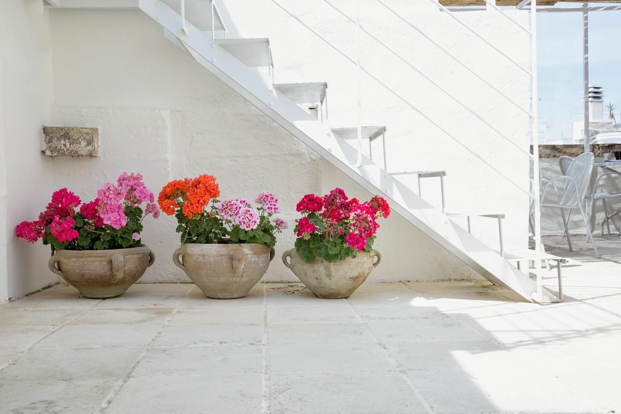 Domus Dejana Bed & Breakfast Gallipoli Ngoại thất bức ảnh